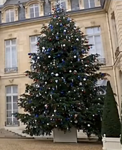 Sapin elysee 3