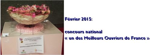 Fevrier 2015