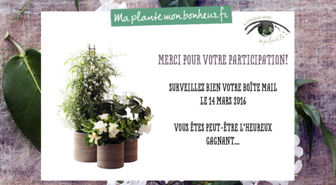 Ma plante mon bonheur 02