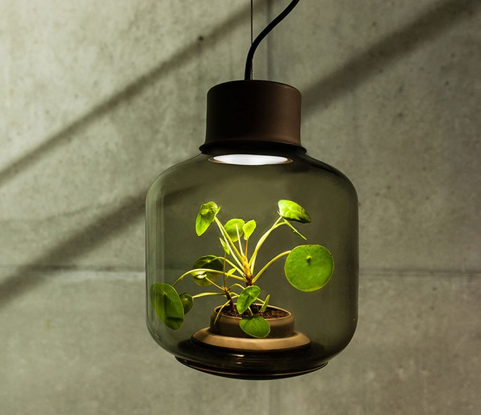 Lampe plantes 04