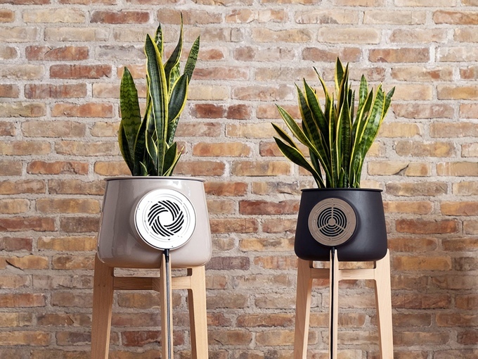 Clairy-purificateur-dair-plante-design-kickstarter-01