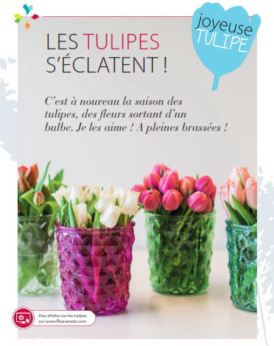 Tulipes affiche