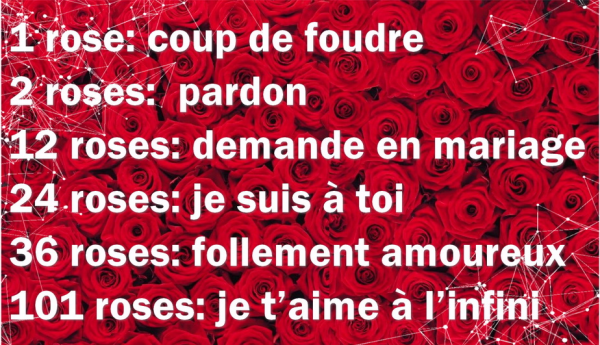 Roses St Valentin