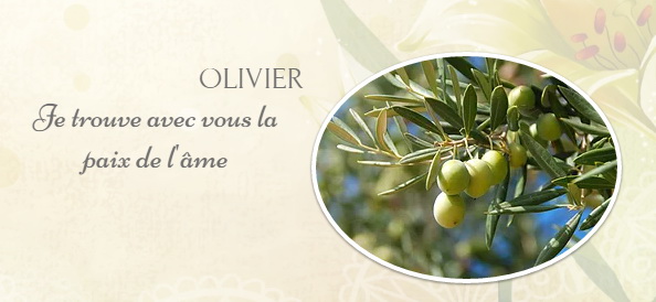 Langage olivier
