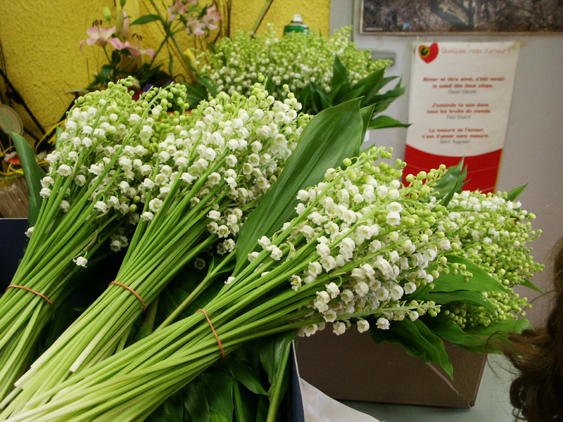 Muguets bouquets