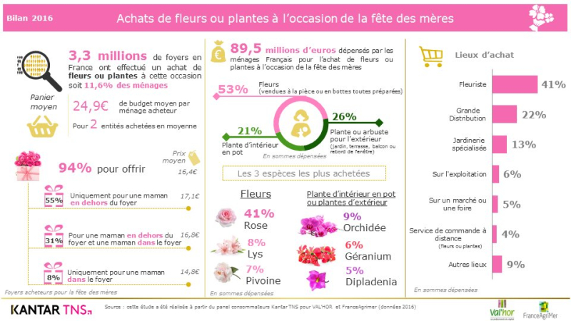 Roses FdM 2016