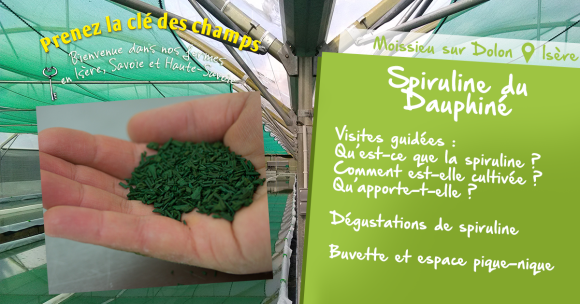 Spiruline du dauphiné_01