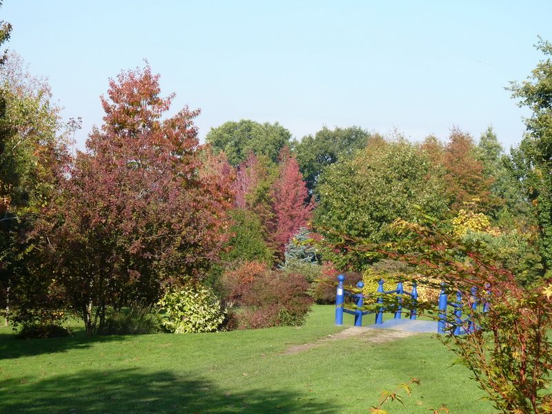 Jardin du bois marquis C peyron -03