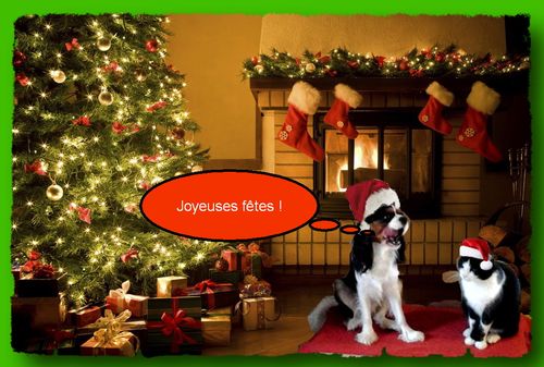 Joyeux noel_05