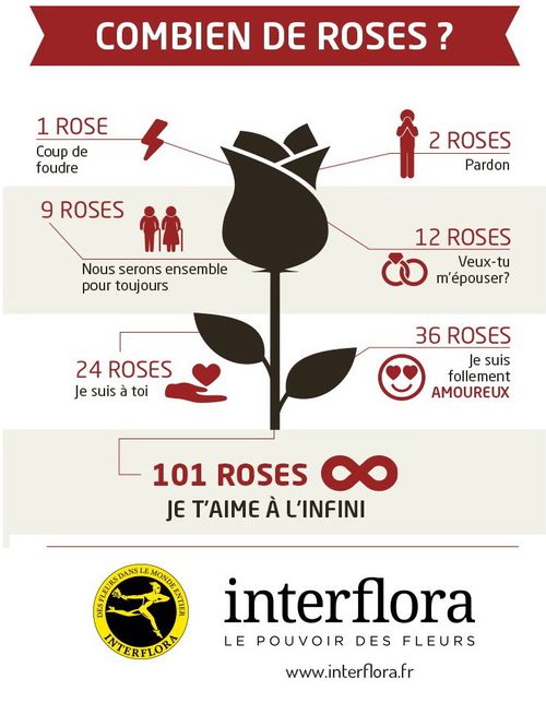 Interflora St valentin roses 2