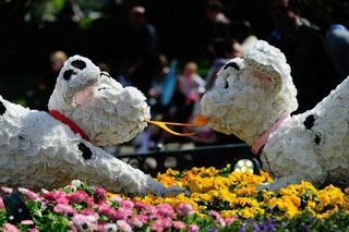 Disneyland printemps_05