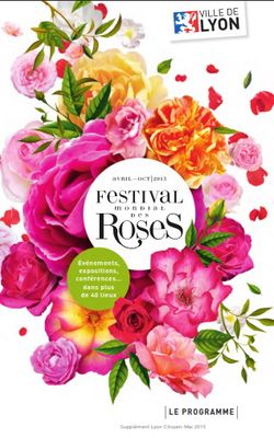 Festival roses