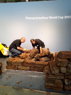 Worldcup fleursites _03