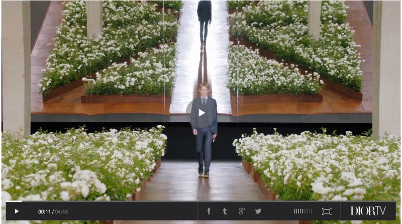 Dior Homme défilé 2