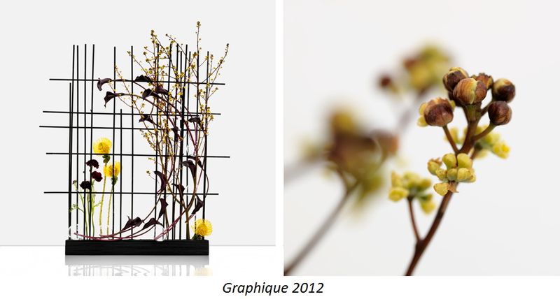 Haute couture florale graphique 2012