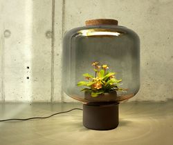 Lampe plantes 03