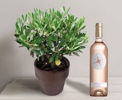 Interflora olivier et rosé