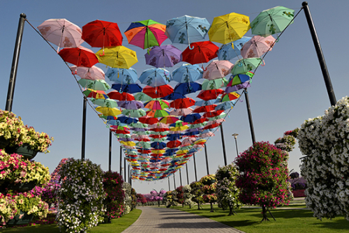 45 millions de fleurs au Dubai Miracle Garden