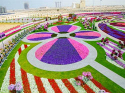 Jardin miracle Dubaï 01