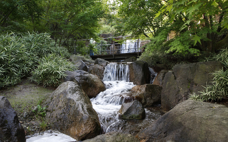 Jardin Italie foret