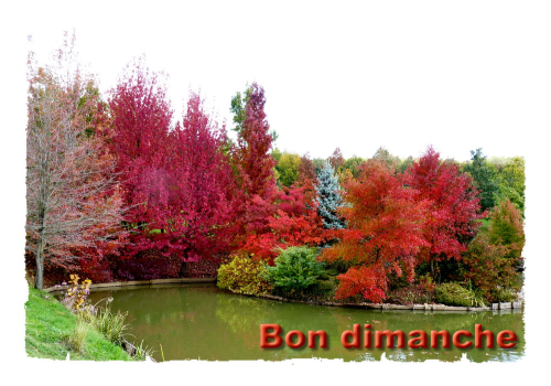 Automne dimanche 2016