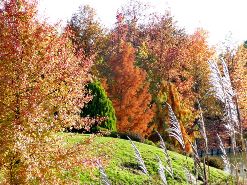 Jardin du bois marquis 2