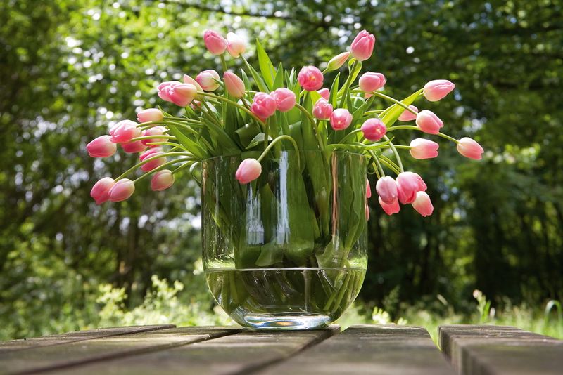 Tulipes vase