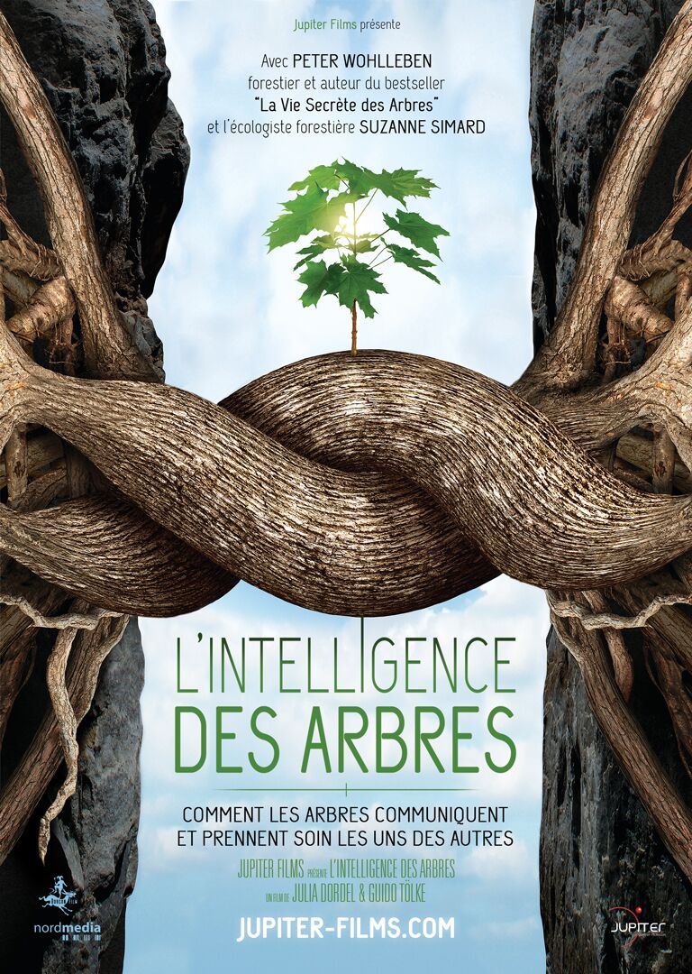 L'intelligence des plantes affiche