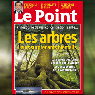 Le point dossier arbres