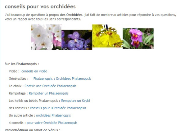 Orchidées conseils