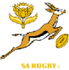 Logo_rugby_springbok_2